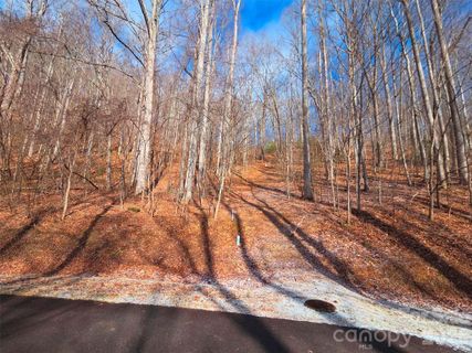 Homes in Mountain Watch, Waynesville