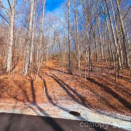 455 Mountain Watch Drive