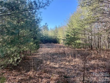 2095 Hitching Post Trail active home in The Coves Mountain River Club, Lenoir, NC