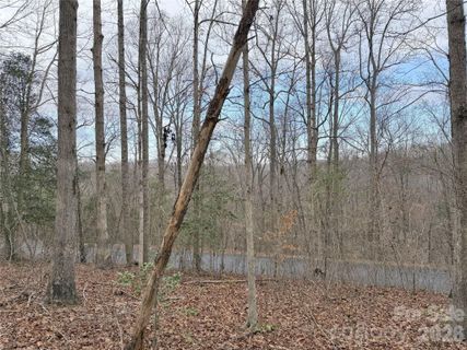 0000 E Rambling Creek Drive active home in Vista At The Riverbank, Tryon, NC