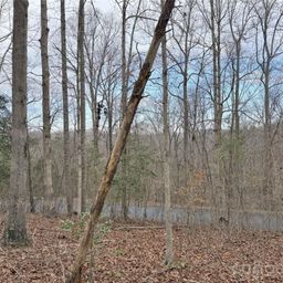 0000 E Rambling Creek Drive