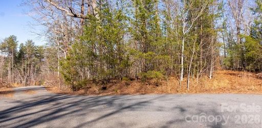 49 Shady Bark Lane sold home in Ole Plantation, Rutherfordton, NC