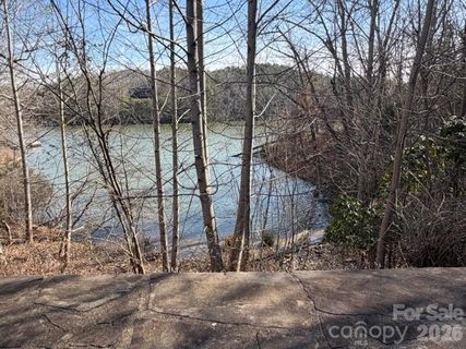 37 Peninsula Drive active home in Lake Adger, Mill Spring, NC