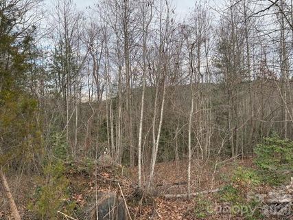 0 S Old Nc 18 Highway