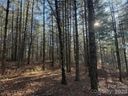 1291 Scenic Vista Drive sold home in Nebo, SC