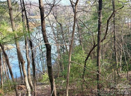 0 Falls View Trail pending home in Lake Lure Village Resort, Lake Lure, NC