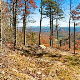 Lot 23 Bluebell Trail