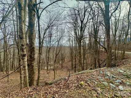 Tbd Alpine Drive