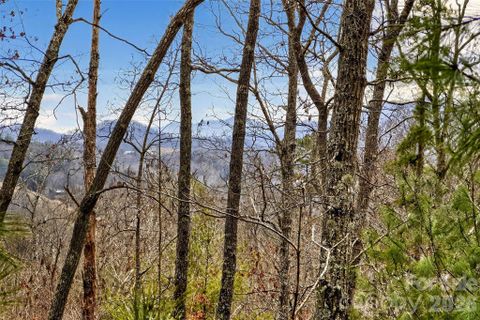 149 Turkey Trot Trail active home in French Broad Crossing, Marshall, NC