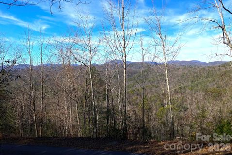 Tbd Ruffed Grouse Road active home in Ridge Haven, Brevard, NC