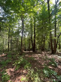 Lot 21 Haverhill Court active home in Kenmure, Flat Rock, NC