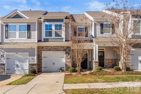 1091 Chicory Trace sold home in Ivy Ridge, Clover, SC