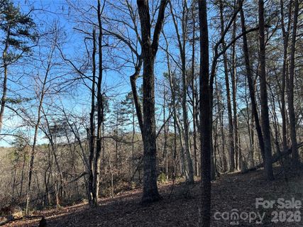 00 Hawkins Lane sold home in Land Of Lakes, Mill Spring, NC