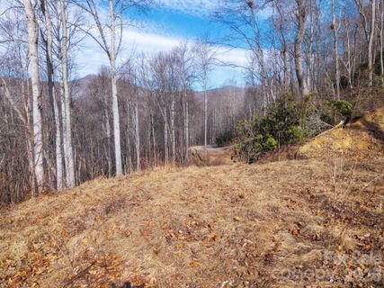 000 Bee Tree Road active home in Smoky Mountain Estates, Swannanoa, NC