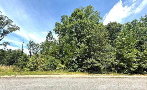 1012 Lyndon Drive active home in College Place, Lancaster, SC