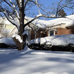 3 Forest Drive