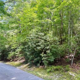 115 Black Oak Drive