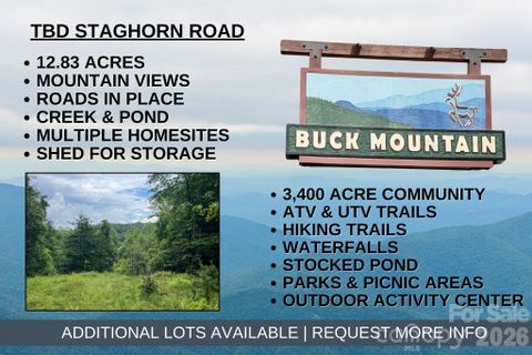 Tbd Staghorn Road active home in Buck Mountain, Purlear, NC