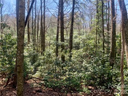 Lot 20a Indian Lake Road active home in Indian Lake Estates, Lake Toxaway, NC