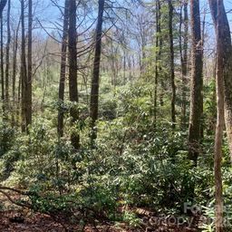 Lot 20a Indian Lake Road