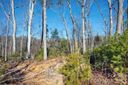 136 Riverbend Forest Drive sold home in Asheville, SC