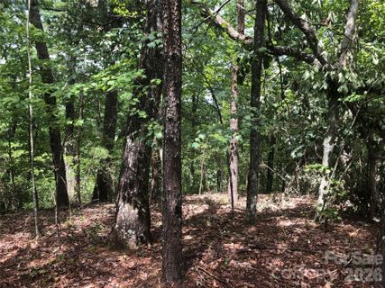 0 Buffalo Creek Road