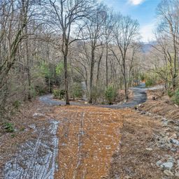 119 Wildflower Cove Drive