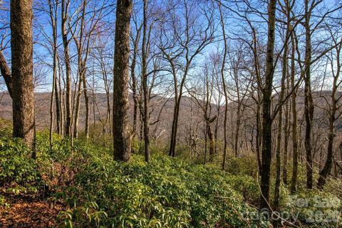Tbd Oak Ridge Road active home in Joshua Summit, Rosman, NC