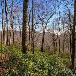 Tbd Oak Ridge Road