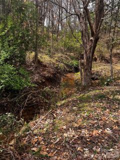 0000 Cemetery Loop