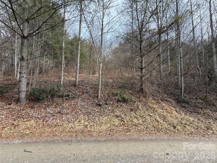000 Rosalie Lane pending home in The Rosalie, Waynesville, NC