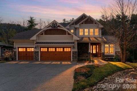Homes in Town Mountain Preserve, Asheville
