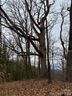 201 Glen Valley Drive sold home in Weaverville, SC