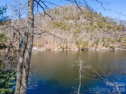 Bear Lake Reserve active home in Bear Lake Reserve, Tuckasegee, NC