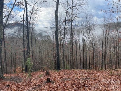 75 Wild Turkey Loop active home in French Broad Crossing, Marshall, NC
