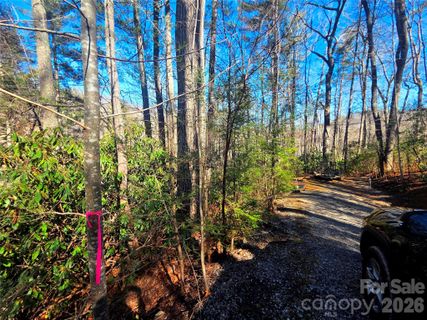 Homes in Rivers Edge, Waynesville