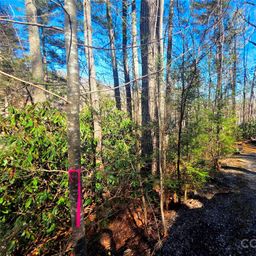 115 Fragrant Pine Drive
