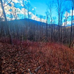 900 Fern Trail