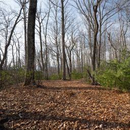 29 Open Ridge Trail