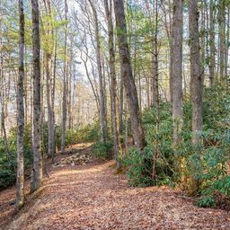 Lot 4 R Middlemount Road