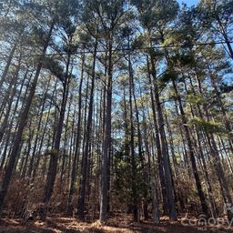 2410 Summerville Church Road