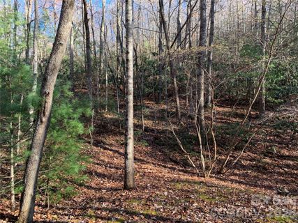 Tbd Lot 1 Dugger Firetower Road active home in Grapevine Gap, Lenoir, NC