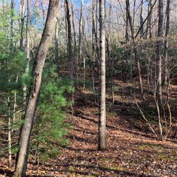 Tbd Lot 1 Dugger Firetower Road