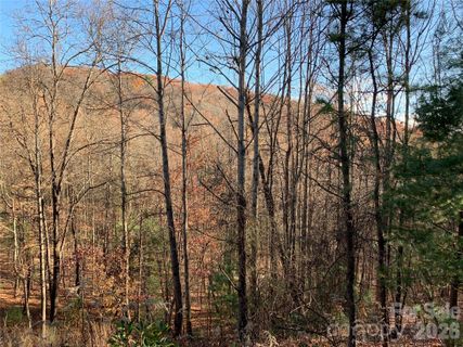 Tbd Lot 4 Wolf Den Lane active home in Grapevine Gap, Lenoir, NC