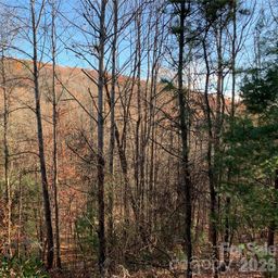 Tbd Lot 4 Wolf Den Lane