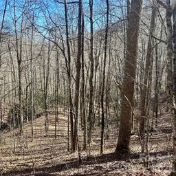 0 Deep Gap View