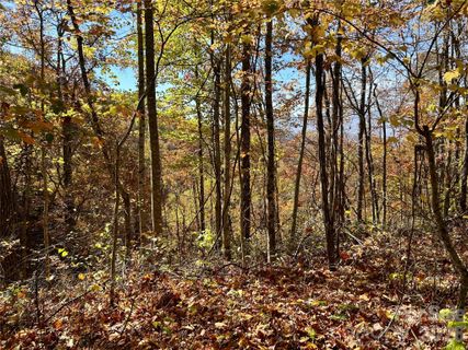 0 Owle View active home in Brush Creek Properties, Bryson City, NC