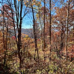 0 Grizzly Ridge