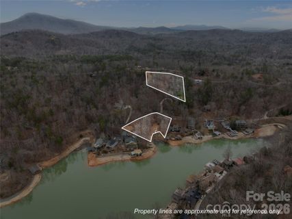0 Buffalo Shoals Road