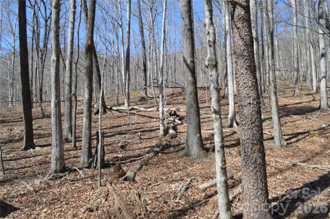 00 Shadow Creek Lane sold home in Mountain Shadows, Columbus, NC